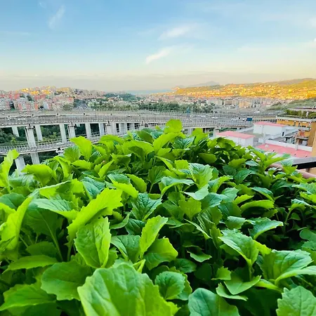Il Ramo D'oro Panzió Nápoly