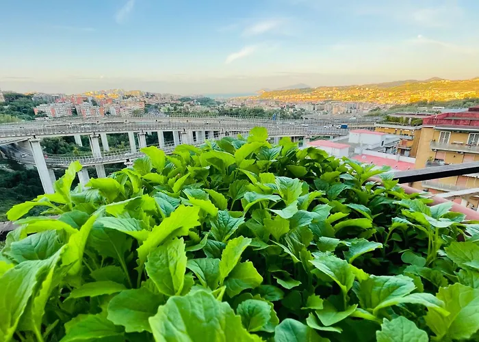Il Ramo D'oro Bed & Breakfast Napoli
